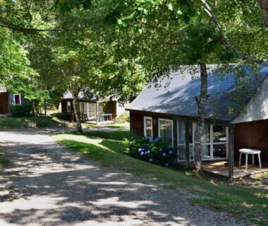 Allée ombragée et chalets en bois dans le Pôle Bellevue