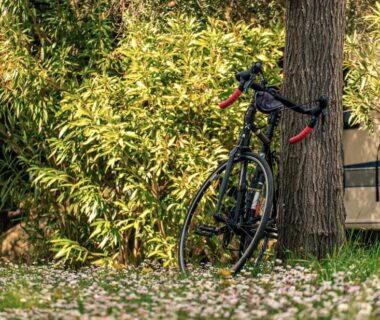 Sous un arbre vélo de route appuyé au camping RAS L'BOL