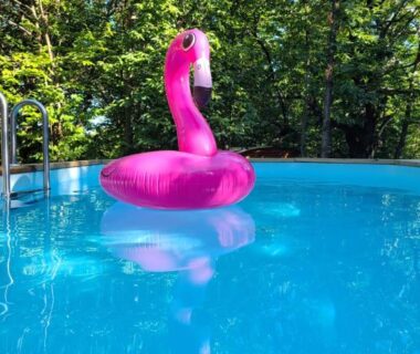 Piscine entourée d'arbres avec bouée flamant rose au camping Roulotte avec piscine la jonquille