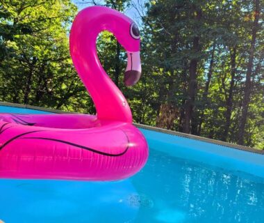 Piscine entourée d'arbres avec flamant rose gonflable à la Roulotte avec piscine la jonquille