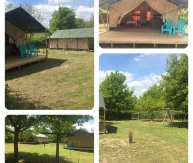 Terrasse et pelouse avec tentes sur plateformes au SafariLodge 6 persoons