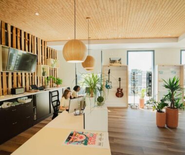 Accueil lumineux avec comptoir, plantes et guitare au camping Sauvage