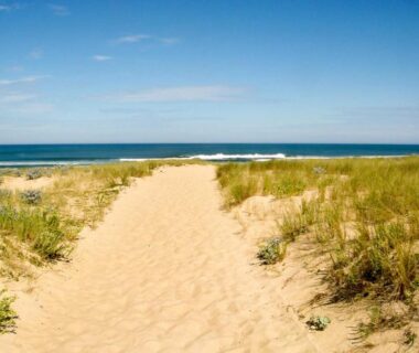 Sentier de dunes vers la mer au Sbvacances TOUT CONFORT 2ch et 1sdb