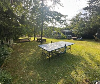 Pelouse avec table de ping-pong et bancs dans le camping TERMINUSBUS
