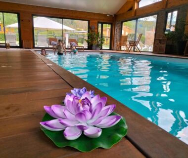 Bord de piscine intérieure avec fleur de lotus sur bois au TRAPPEUR – Les Chalets du lac Belcaire