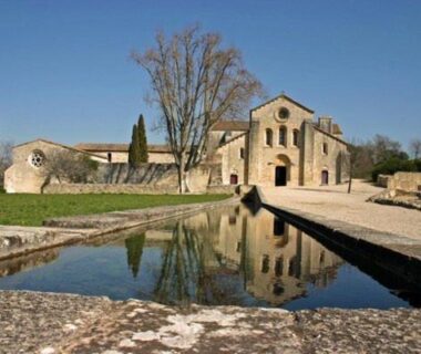 Bassin réfléchissant devant édifice ancien au Terra Cosy