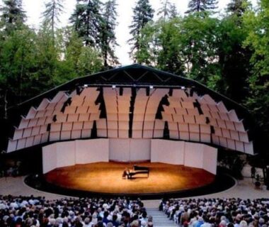 Amphithéâtre en plein air avec scène et piano entouré de pins dans le camping Terra Cosy