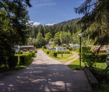 Allée centrale et emplacements dans un cadre boisé au Camping Les Granges Bas