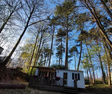 Dans l'Essonne mobil-home et terrasse au milieu des pins Tiny Sweet Home - 3 nuits minimum