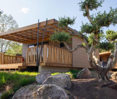 Terrasse en bois sur pilotis devant bungalow et olivier au camping U Pinarellu