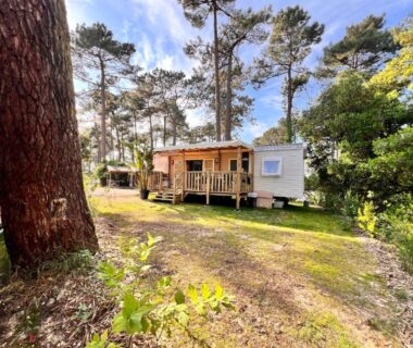 Pinède avec bungalow surélevé au camping Un toit sur le bassin bungalow