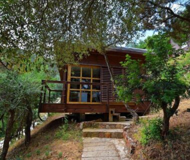Chalet en bois sur pilotis entouré d'arbres au Camp'in Pirellu