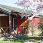 Façade de chalet en bois sous cerisier en fleurs au Village loisirs de Goule