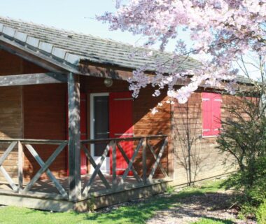 Façade de chalet en bois sous cerisier en fleurs au Village loisirs de Goule
