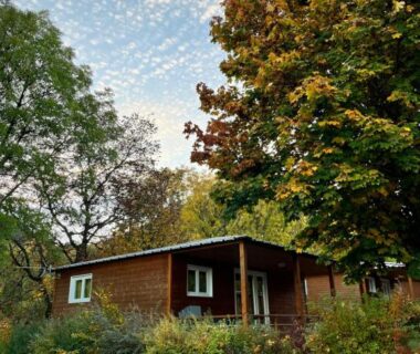 Jardin et chalet en bois sous arbres au Villages de Chalets et camping La Pierre de l'Aigle