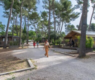 Allée ombragée avec pins et hébergements en bois dans le Youcamp Village Marseille Provence