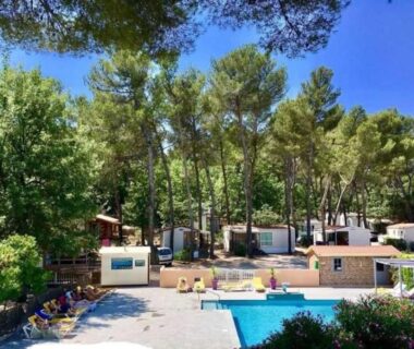 Piscine et mobil-homes sous les pins au ZEcamping 3 étoiles piscine