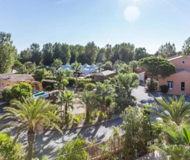 Piscine et palmiers dans le camping ZEcamping 4 étoiles
