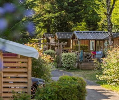 Allée de chalets en bois dans les arbres au camping Le moulin