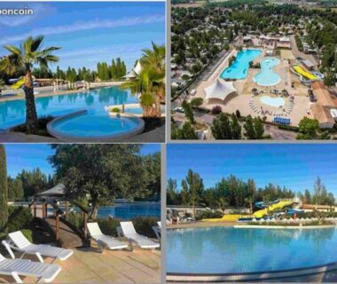 Piscine extérieure entourée de palmiers au camping la carabasse