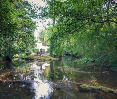 Ruisseau ombragé avec reflets et bâtisse en arrière-plan à l'hôtel gites le clos du moulin