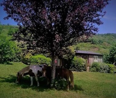 la Frégière Chalets