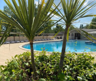 Piscine du camping avec palmiers et transats au bord dans Le Marie Elodie 85