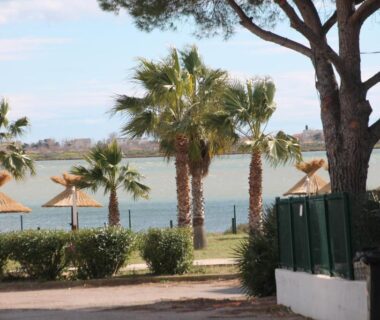 Bord du lac avec palmiers et parasols au mobil home au lac des rêves