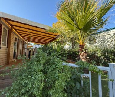 Terrasse ombragée avec palmier et végétation du mobil home détente et soleil