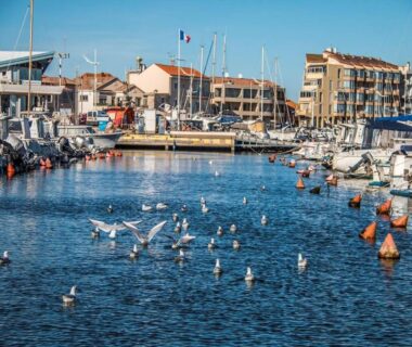 Port de plaisance avec mouettes et bateaux au mobil home soleil et detente
