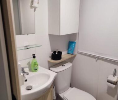 Salle de bains avec lavabo et toilettes dans le superbe mobil home 6/8 pers clim sans vis a vis